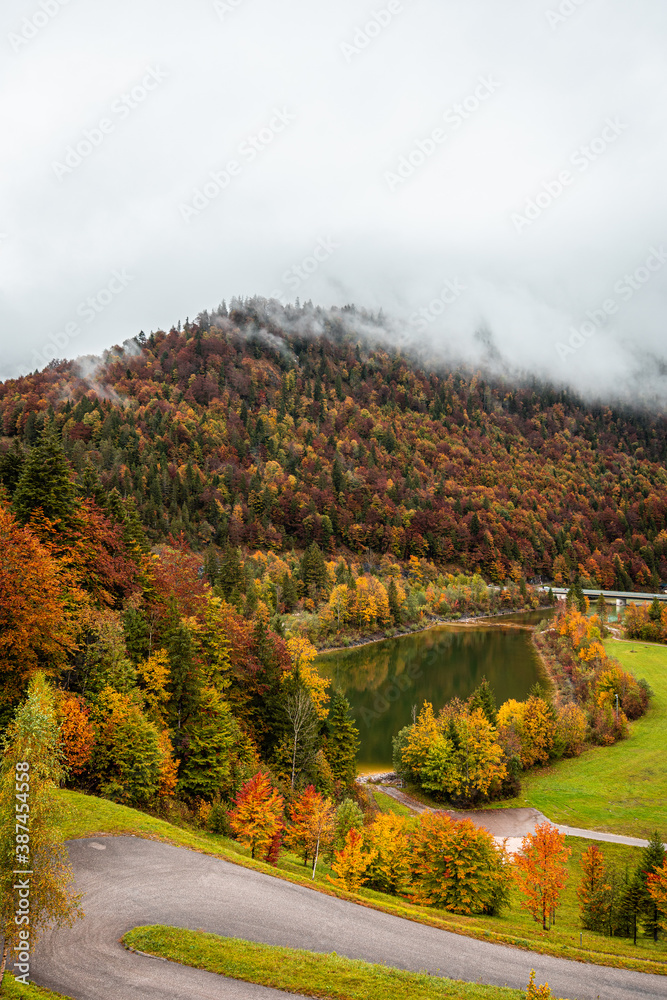Obraz premium Wonderful colors of the autumn landscape in the forest