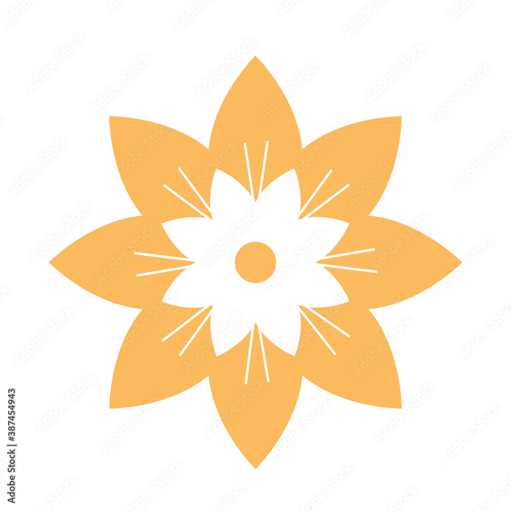 Fototapeta premium flower nature element decoration line design