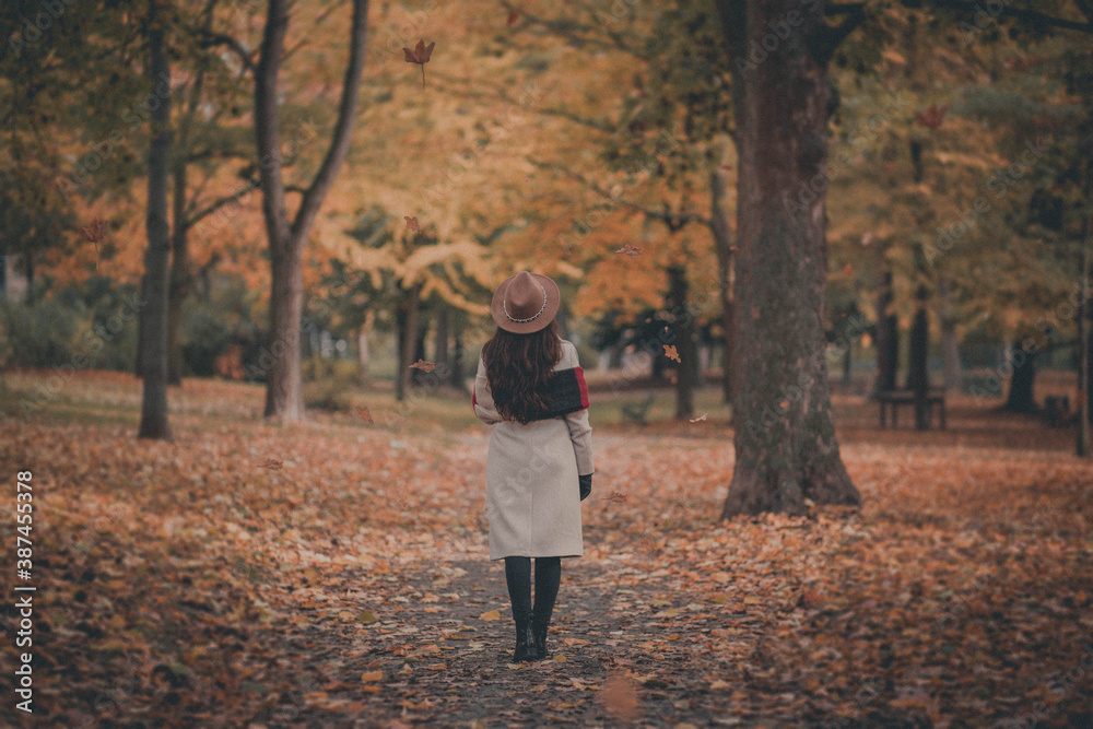 autumn autumn