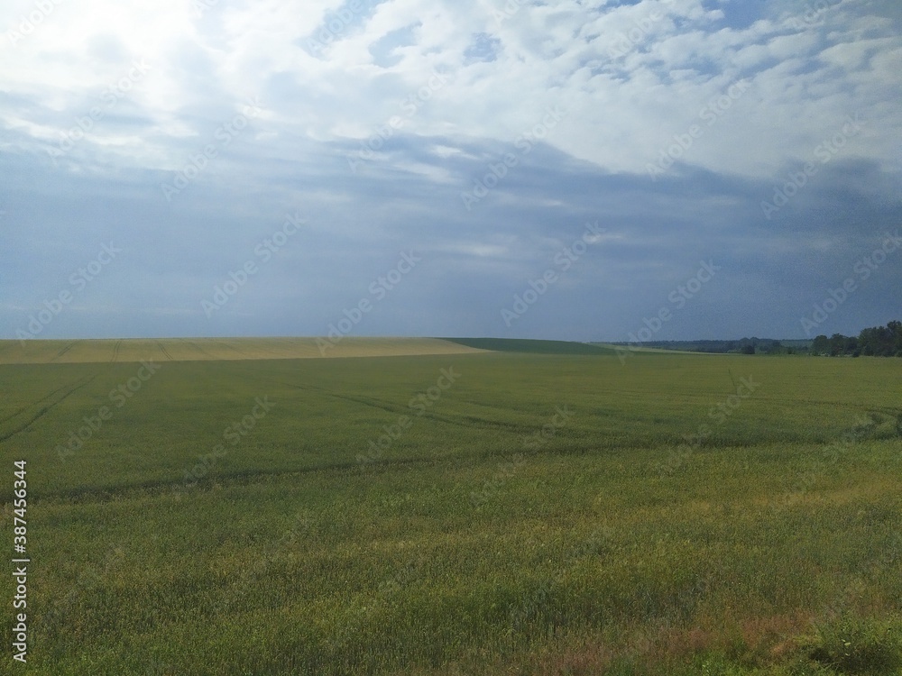 green field and sky