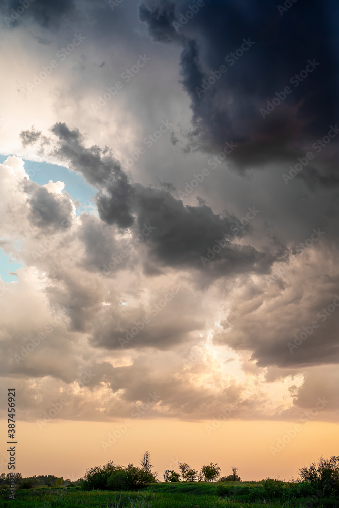 Overcast sky. Thunderclouds.Silhouette of tall trees.Green steppe.Vertical photo