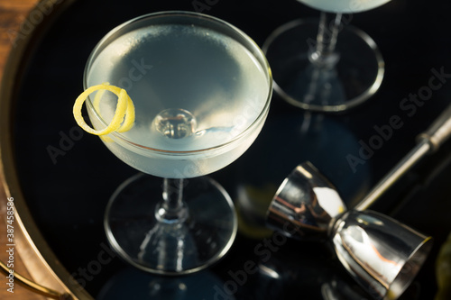 Homemade Dry Gin Martini