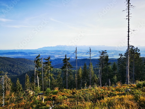 View from the top of Turbacz, Gorce. Autumn in the mountains.