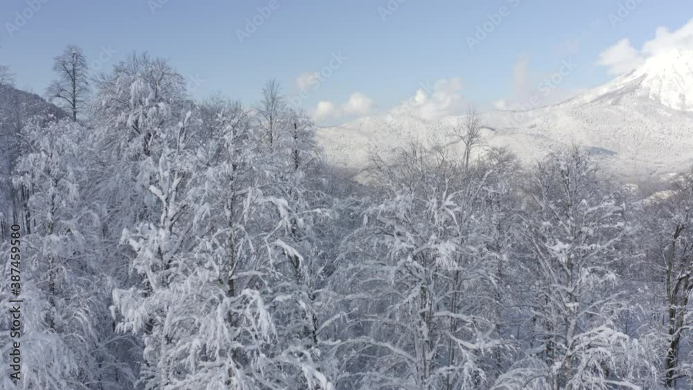 Amazing view from drone on winter city in mountain valley. Aerial view white snow forest covered around modern ski resort. Beautiful nature blue cloud sky from bird above Amazing view from drone on winter city in mountain valley. Aerial view white snow forest covered around modern ski resort. Beautiful nature blue cloud sky from bird above