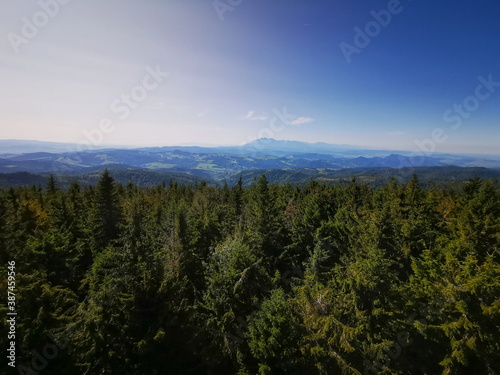 View of the Tatra Mountains from above the trees. Radziejowa