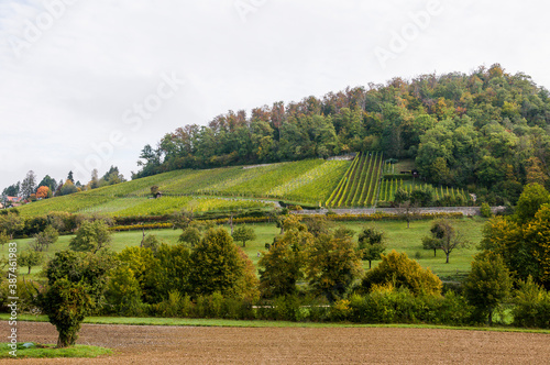 Arlesheim, Weinberg, Landwirtschaft, Schloss Birseck, Burg,  Wald, Obstbäume, Ermitage, Herbstfarben, Wanderweg, Herbst, Baselland, Schweiz photo