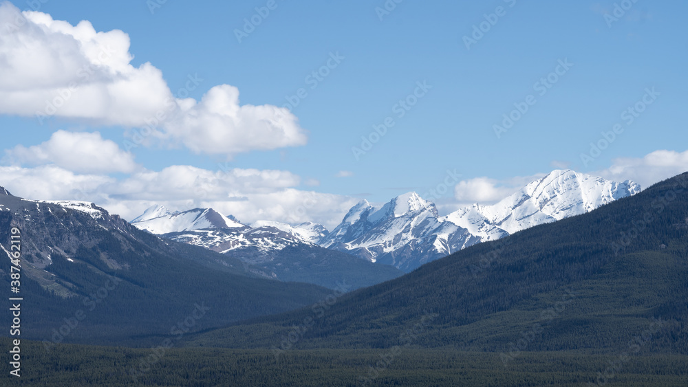 Simple alpine scenery with forest in foreground and snowy peaks in background, shot on a sunny blue skies day at Lake Louise, Banff National Park, Canada