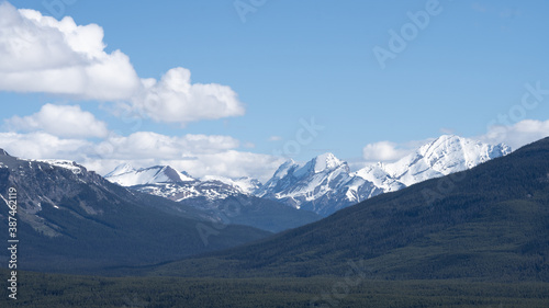 Simple alpine scenery with forest in foreground and snowy peaks in background, shot on a sunny blue skies day at Lake Louise, Banff National Park, Canada © Peter Kolejak