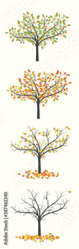 Tree with green and red leaves and fruits in four versions, with leaves and fallen leaves on a light background