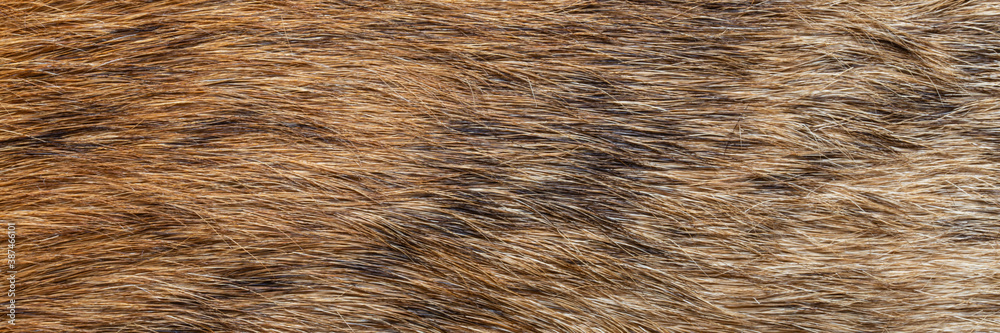 close up of brown fur texture close up of brown fur texture