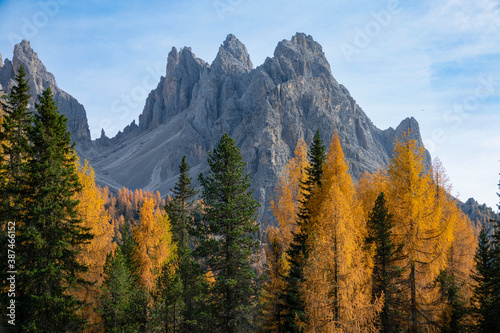 CLOSE UP Rocky mountain towers above a dense forest in Dolomites changing colors