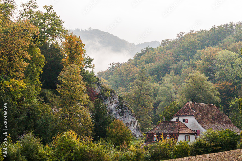 Arlesheim, Ermitage, Wald, Wanderweg, Nebel, Schloss Birseck, Burg, Landwirtschaft, Herbstfarben, Herbst, Baselland, Schweiz