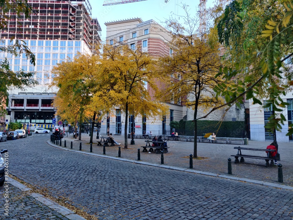 street in autumn