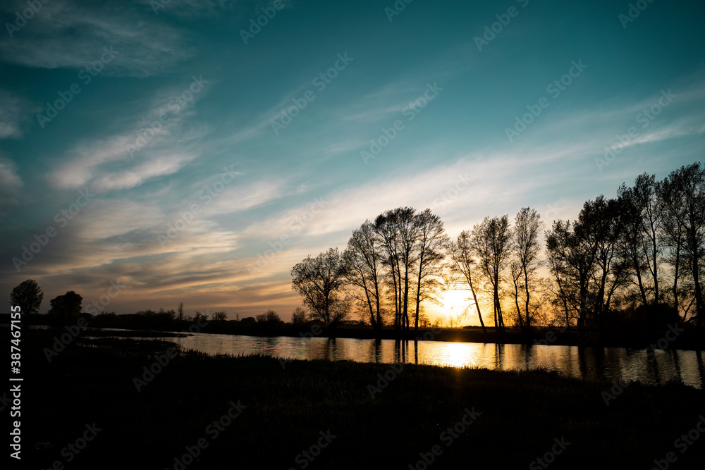 Fototapeta premium Silhouettes of tall trees at sunset. Bright beautiful sky.