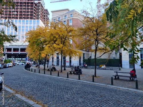 street in autumn