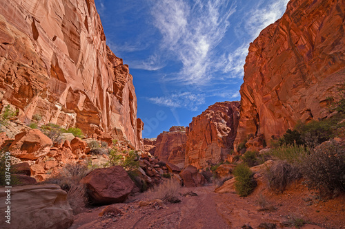 Sun and Shade in a Deep Canyon