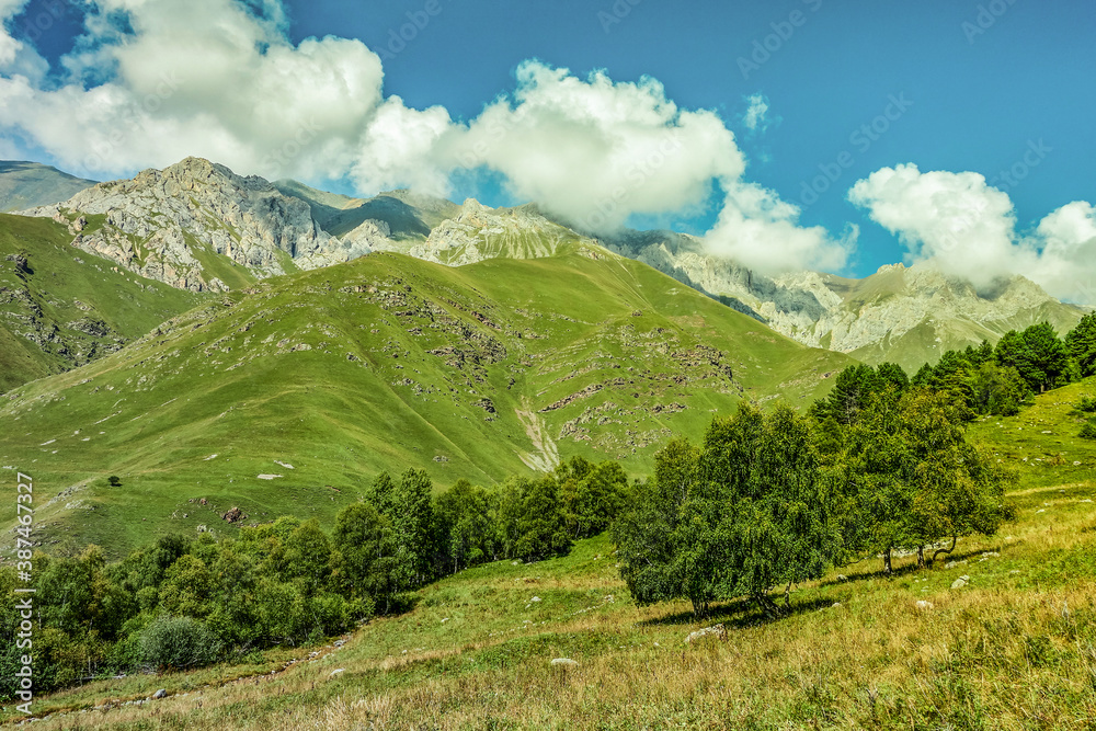 Mountain landscape with trees. hot summer