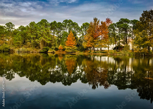 Fall colors in Destin