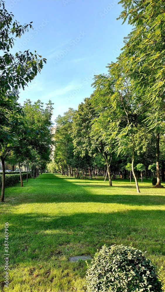 Obraz premium park in the park