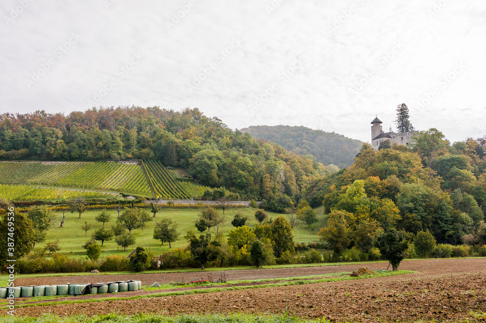 Arlesheim, Weinberg, Landwirtschaft, Schloss Birseck, Burg,  Wald, Obstbäume, Ermitage, Herbstfarben, Wanderweg, Herbst, Baselland, Schweiz