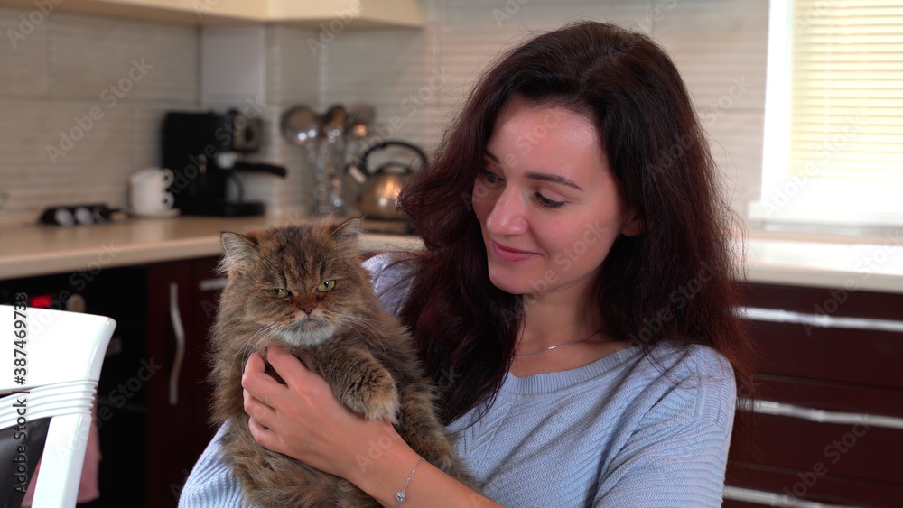 Cat with an angry funny face in the arms of a young beautiful mistress Cat with an angry funny face in the arms of a young beautiful mistress