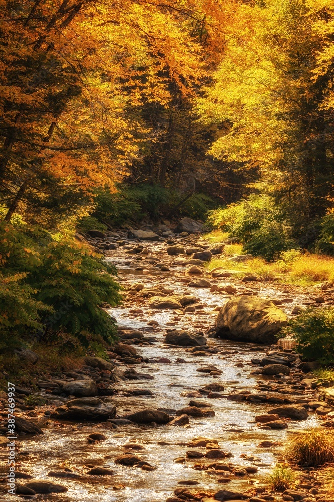 A river in the Fall