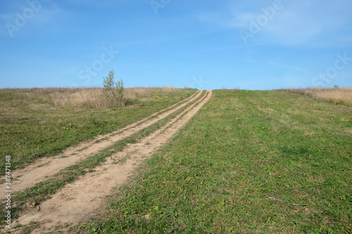 Beautiful rural landscape with side view of ground road runs through a green field under clear blue sky to horizon on sunny summer day