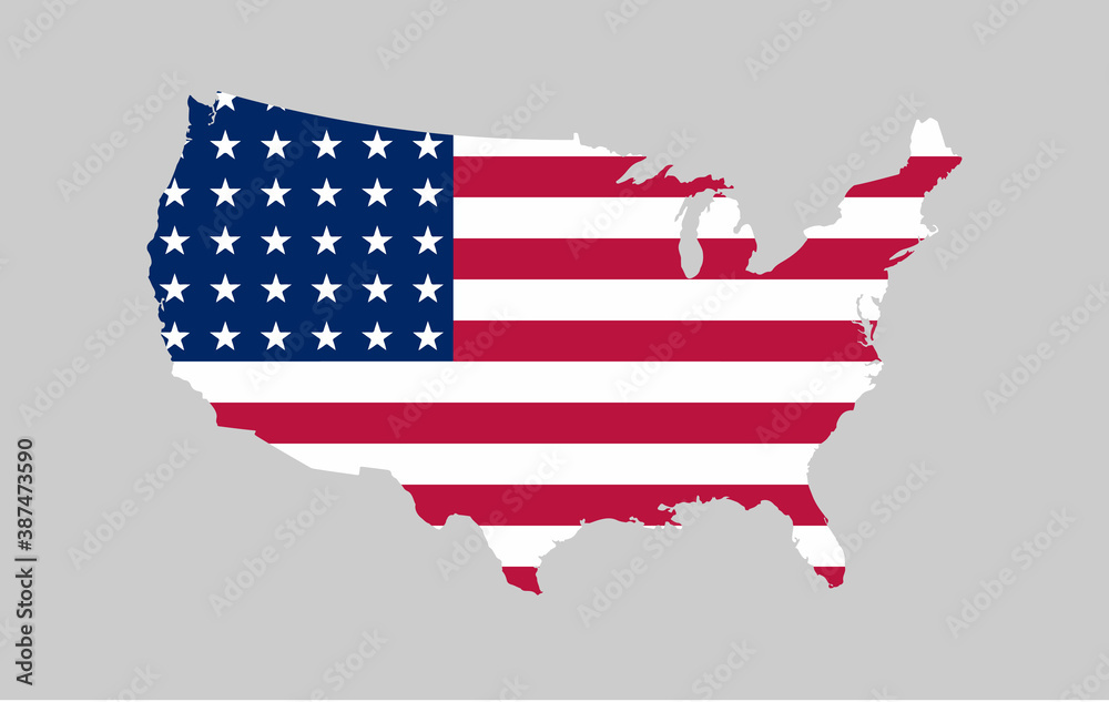 USA vector map with flag	
