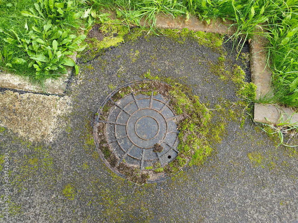 Manhole covered by green moss with green grass around.