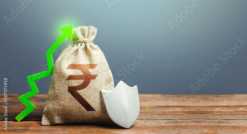 Fotografi Indian rupee money bag with a shield and a green arrow up