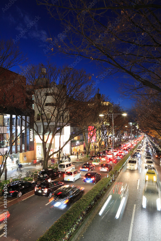 Fototapeta premium 表参道の夜景