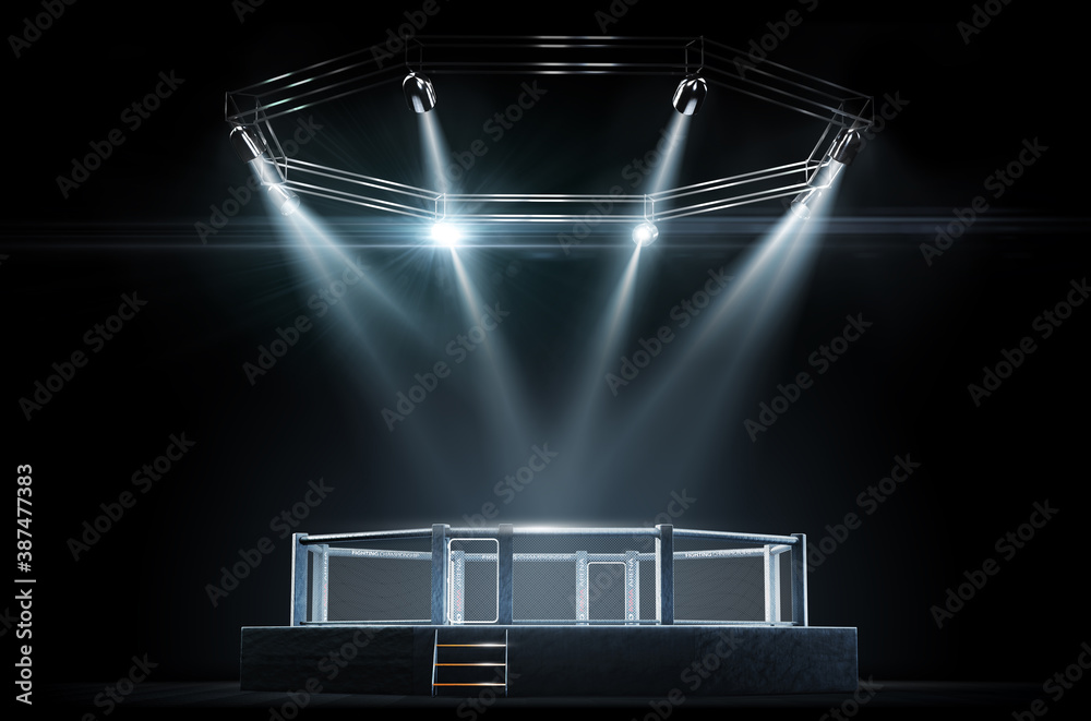 Isolated MMA cage night. Fighting Championship. Fight night. View of the  arena. 3D rendering Stock Illustration | Adobe Stock