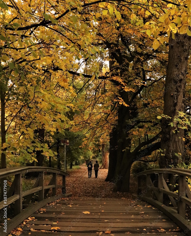Naklejka premium autumn in the corona crisis