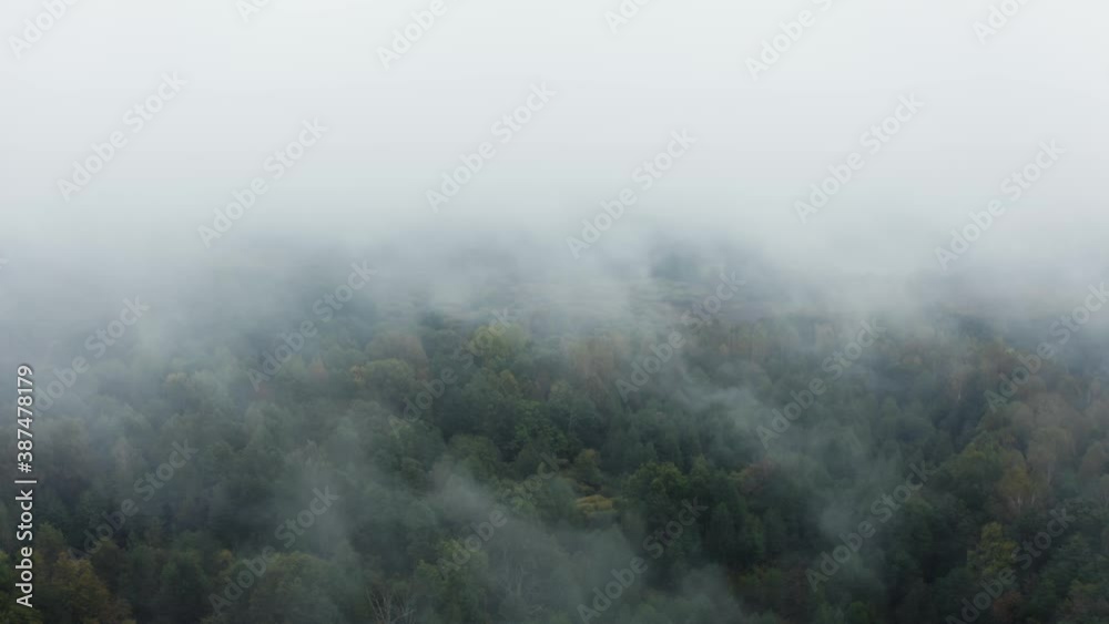 Drone flies through low rain clouds moving over fall colors treetops of woodland. Autumn forest aerial shot. Clouds of fog over trees. Misty weather, colorful woods. Foggy rainy day dramatic landscape Drone flies through low rain clouds moving over fall colors treetops of woodland. Autumn forest aerial shot. Clouds of fog over trees. Misty weather, colorful woods. Foggy rainy day dramatic landscape