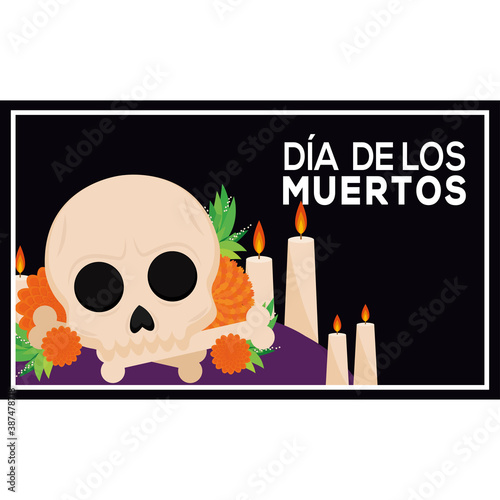 Dia de los muertos poster with a mexican skull - Vector