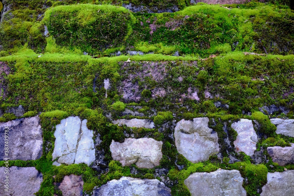 stone wall with moss