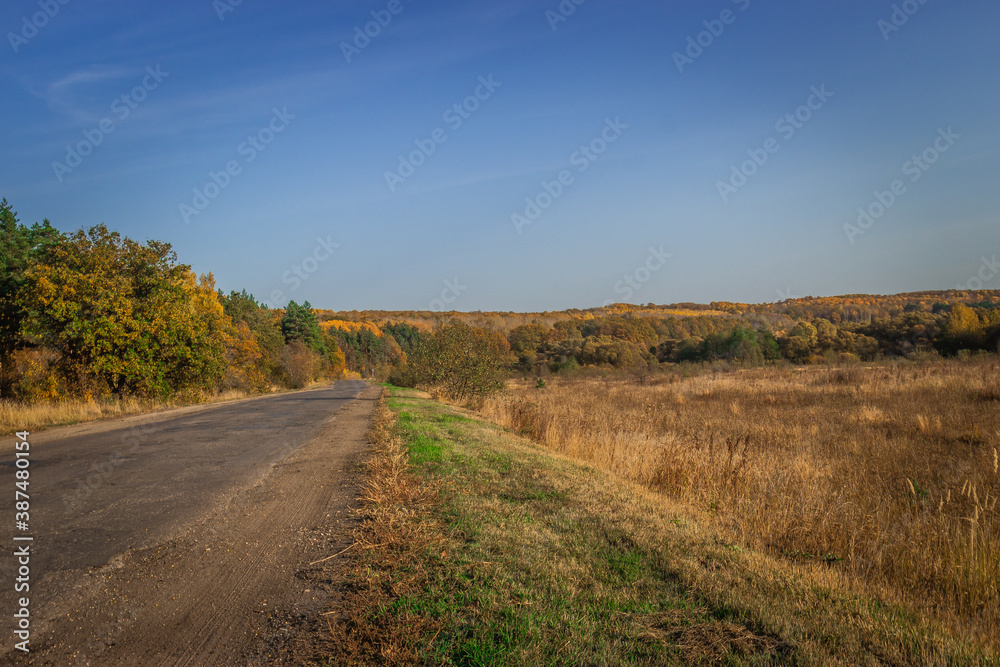 forest road in autumn in a Russian village