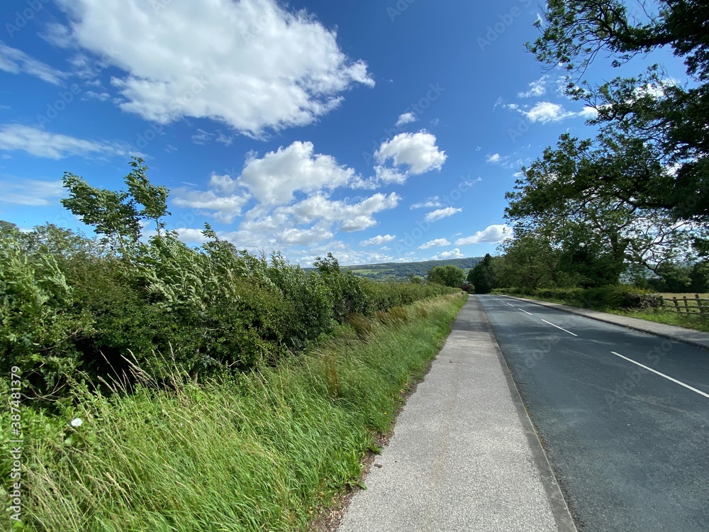 Looking along, Newall Carr Road, with long grass, and hedgerow near, Otley, Yorkshire, UK