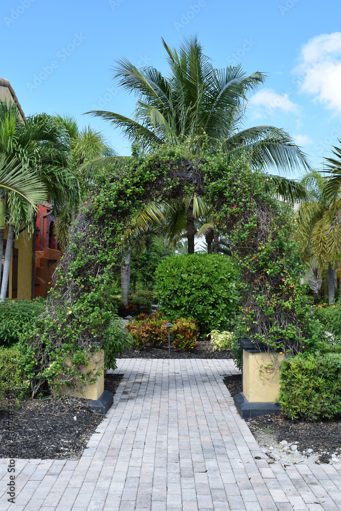 Fototapeta premium path in the garden