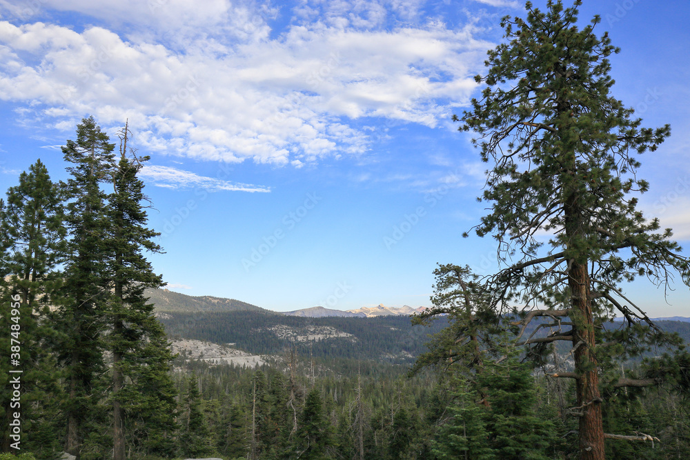 On the way to Yosemite National Park On the way to Yosemite National Park