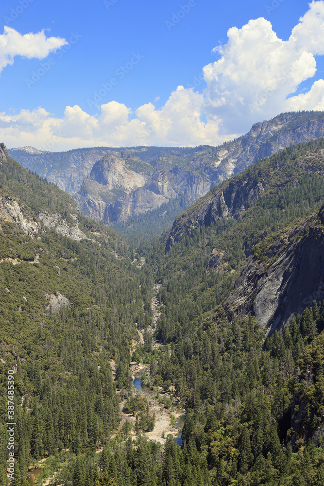 Obraz premium A valley and creeks of Yosemite National Park