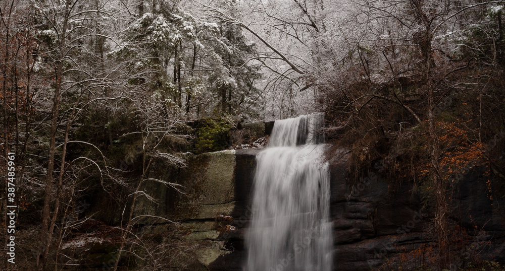Obraz premium waterfall in the forest