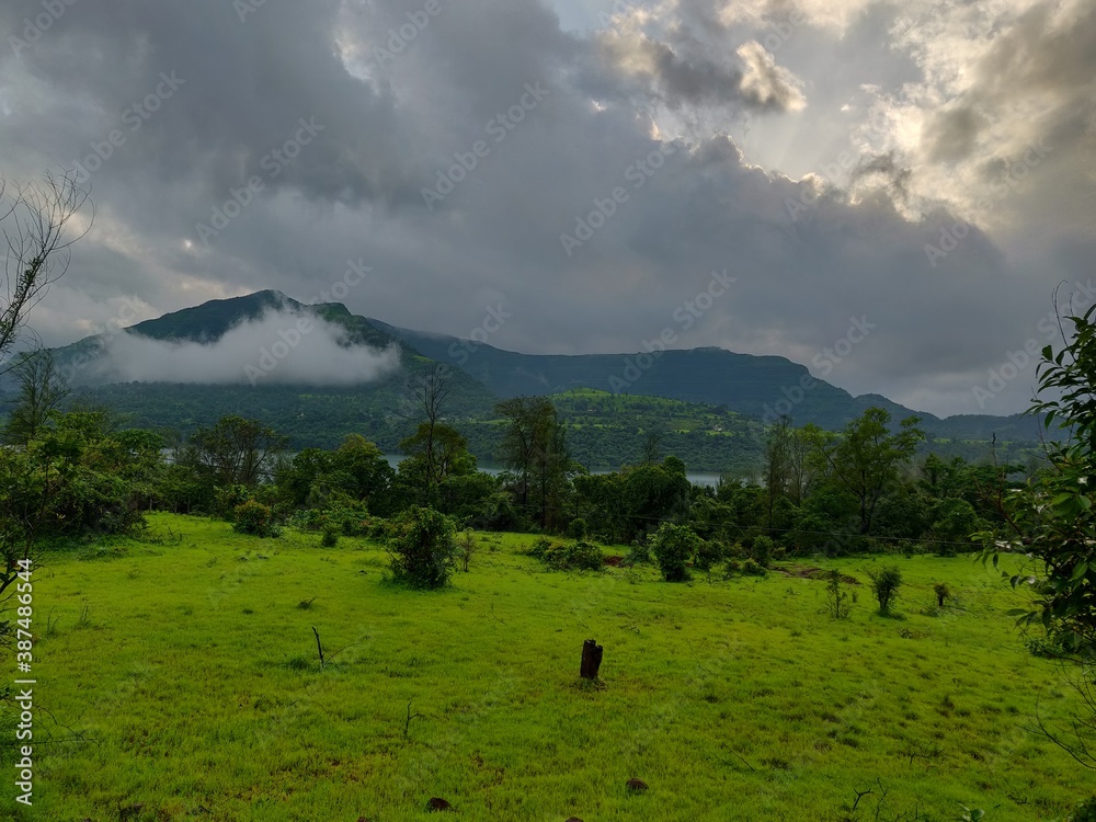The meadows of nature