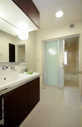 Wallpaper Mural 洗面所からバリアフリーのバスルームへ Torontodigital.ca