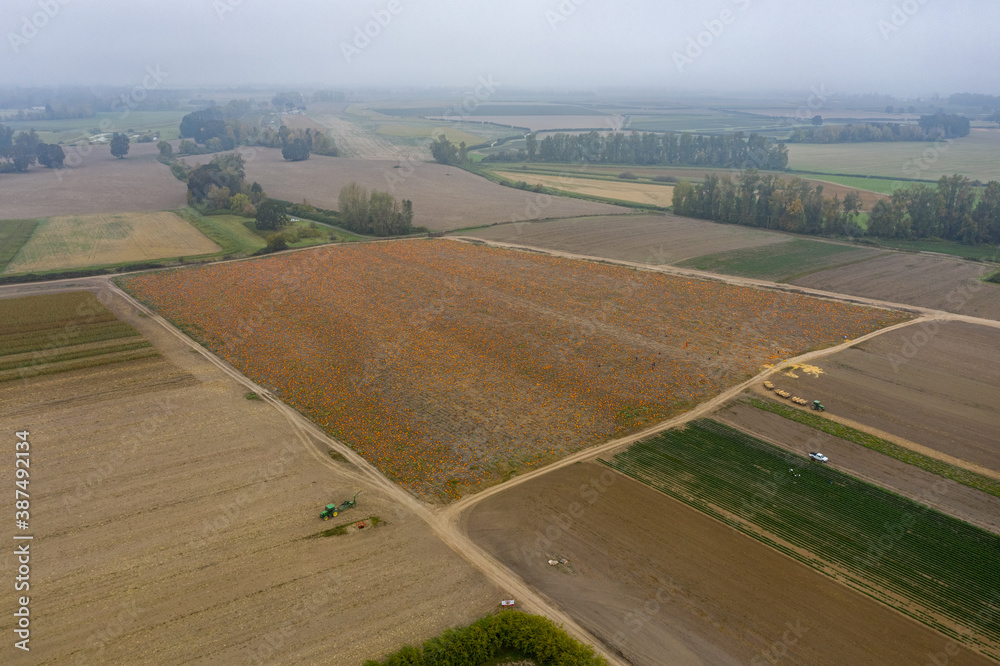 Aerial Sauvie Island Portland