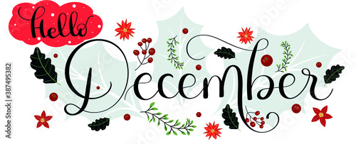 Hello December. DECEMBER month vector with flowers and leaves. Decoration floral. Illustration month December. Merry Christmas 	
