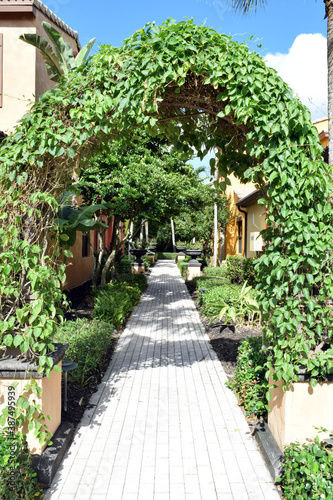 Path Through a Garden in Florida