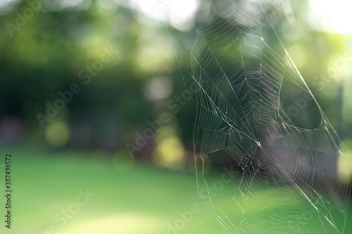 Spiderwebs use for Halloween background.