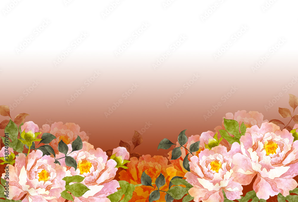 ピンクの牡丹の花 赤背景 Stock Illustration Adobe Stock