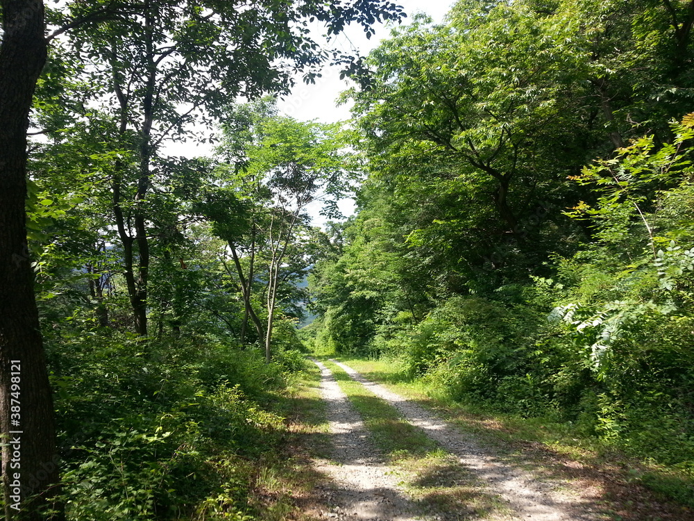 Obraz premium 풍경